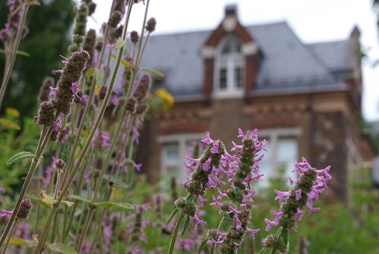  Informationstafeln zu Kultur, Geschichte und Natur